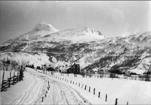 Bilder etc_Page_18_Image_0002.jpg