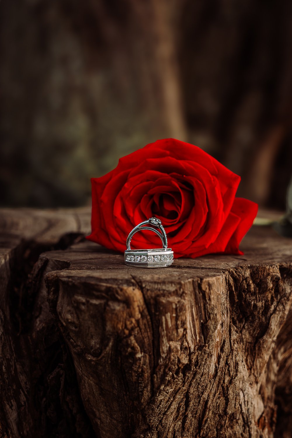 Engagement // Couple