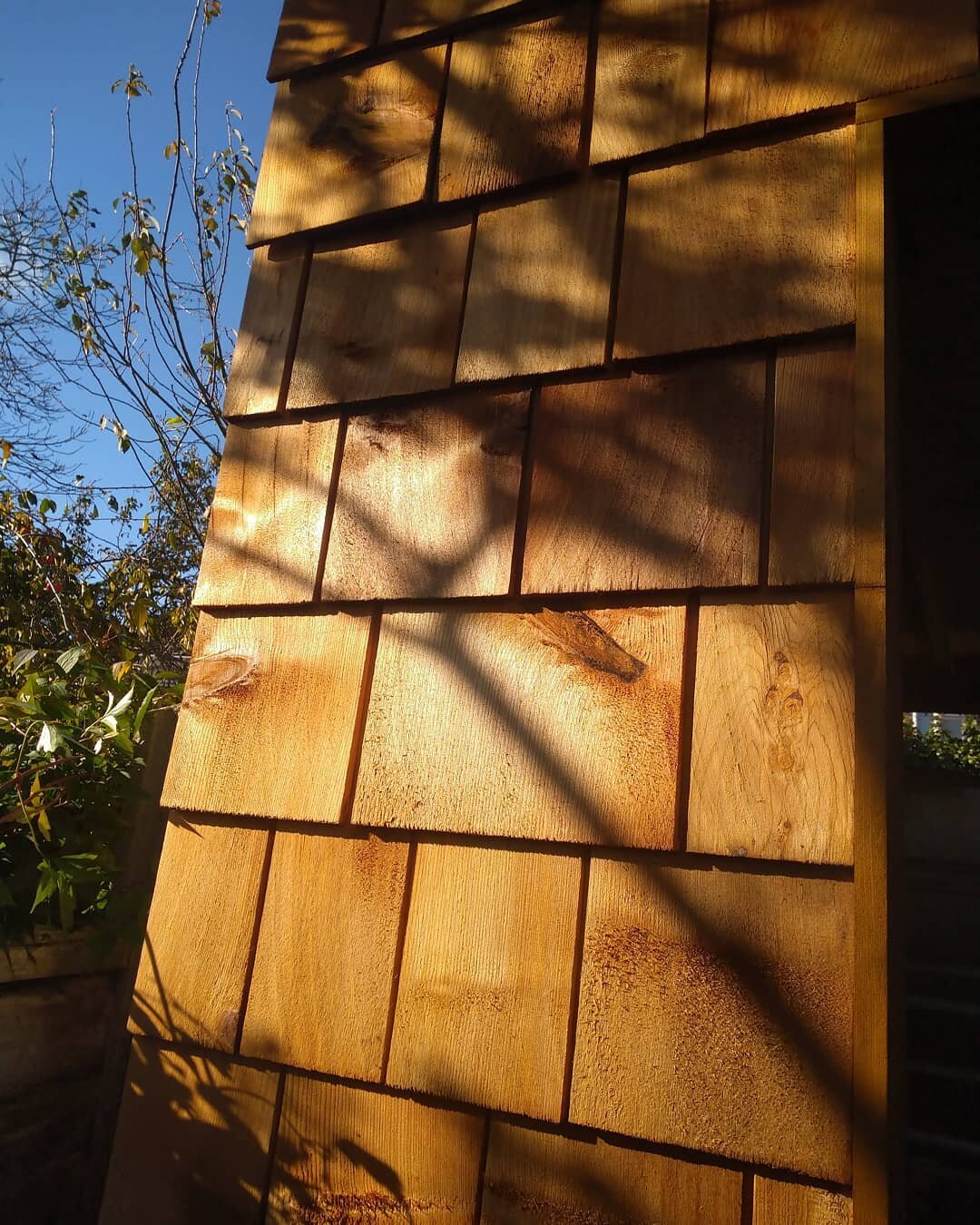 Dappled light on red cedar shingles. We love the warmth and rich colour these give a garden room in Cambridgeshire we designed.
.
.
.
#gardenroom #garden #light #gardendesign #redcedar #cedarcladding #cedarshingles #cedar #design #cladding #timber #b