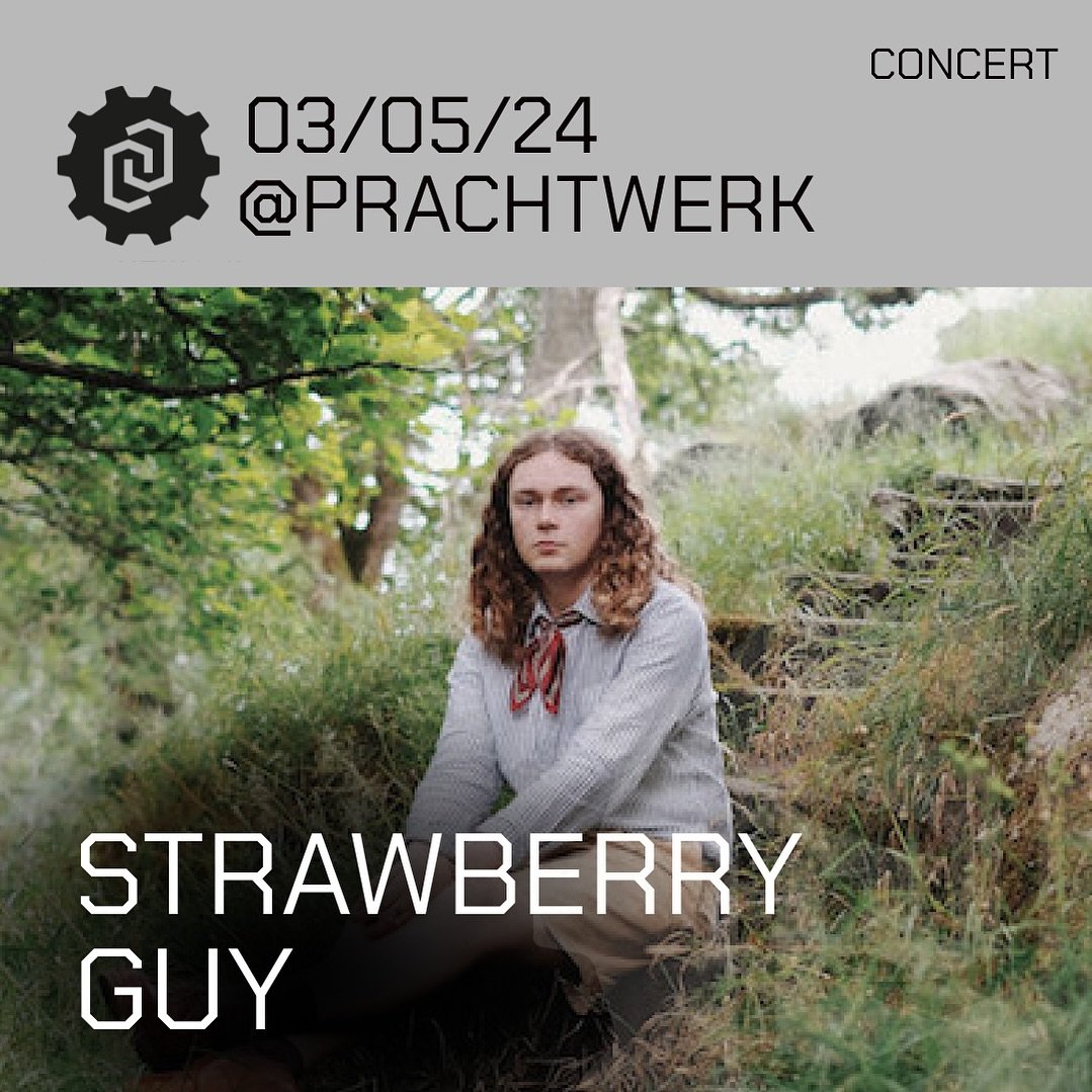 Strawberry Guy blends truthful lyrics with elaborate arrangements to conjure new realms of emotion. By mimicking nature&rsquo;s effect on emotions, akin to the songwriters of the 70s or the fantastic soundtracks accompanying the vibrant scenes of Stu