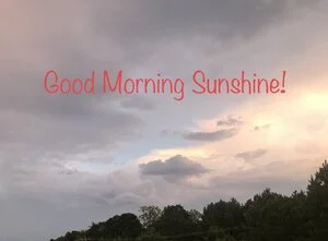 I Will Awaken the Morning…