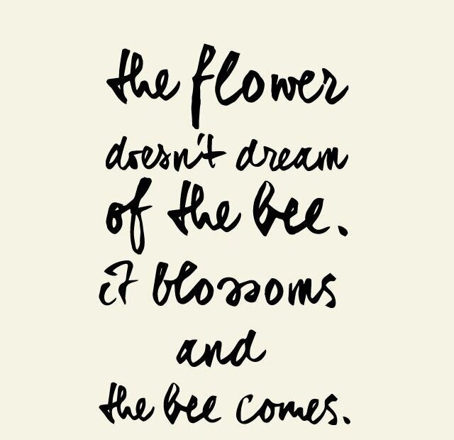 When is something going to work?