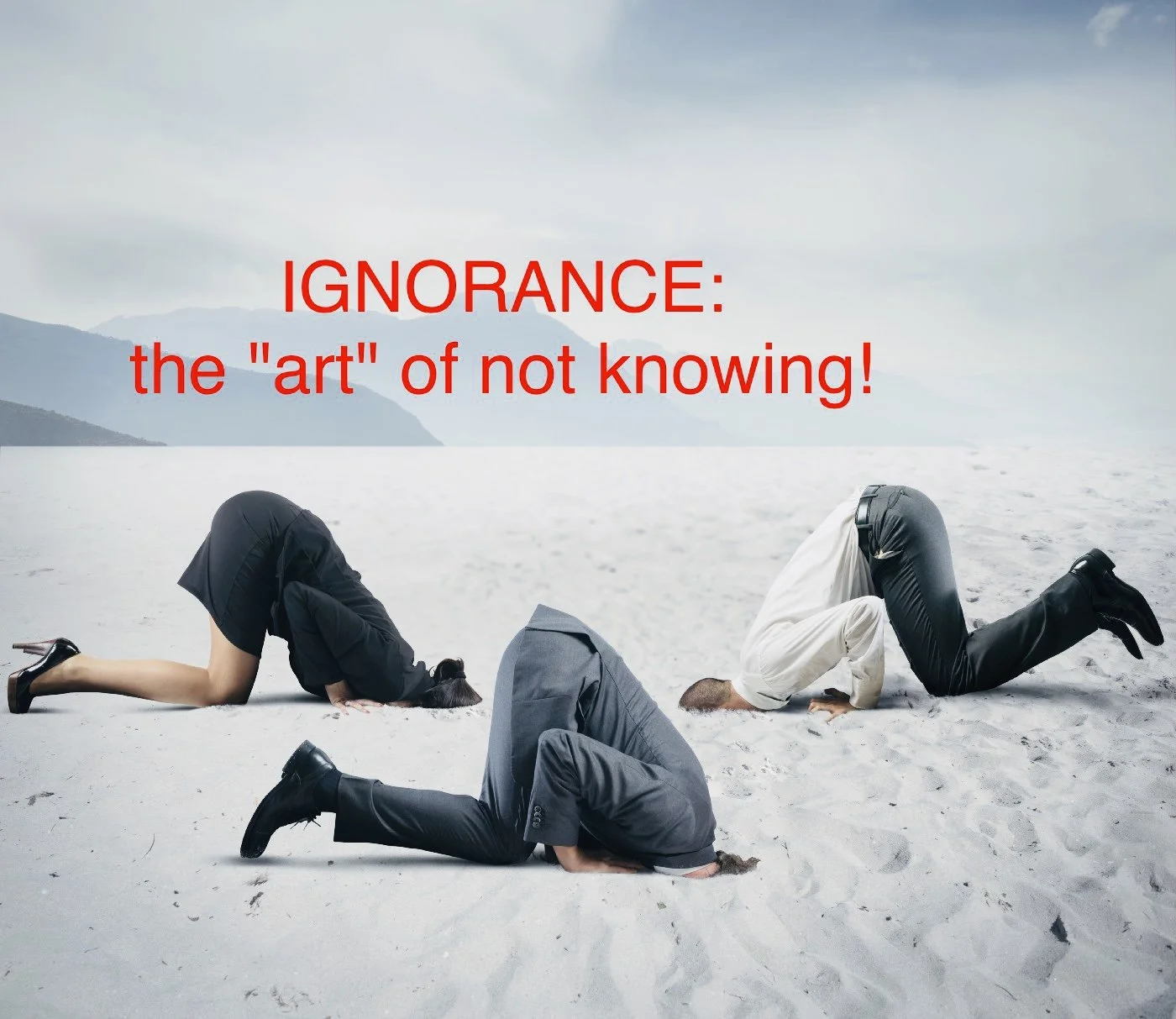 Ignorance Screams!