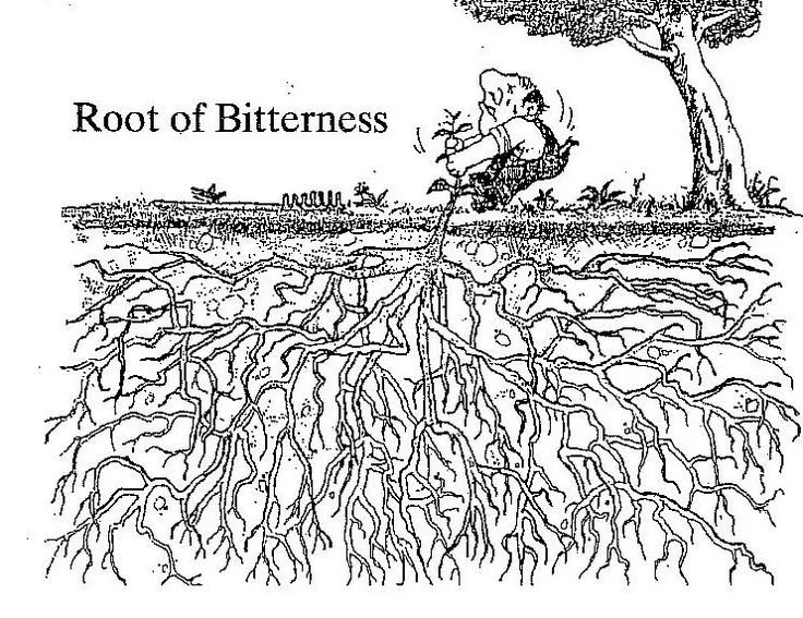 Bitter Roots of Toxic Emotions