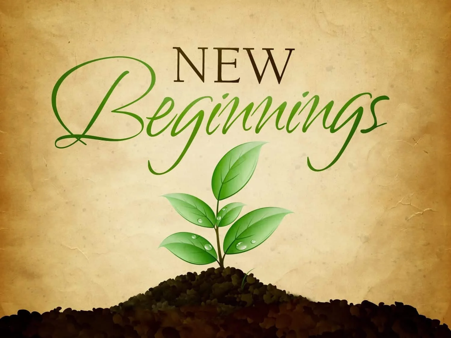 A New Start and New Life