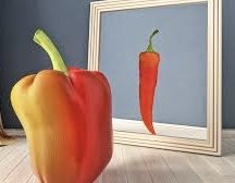 Leadership Shifts —Embracing your “own” Perceptions