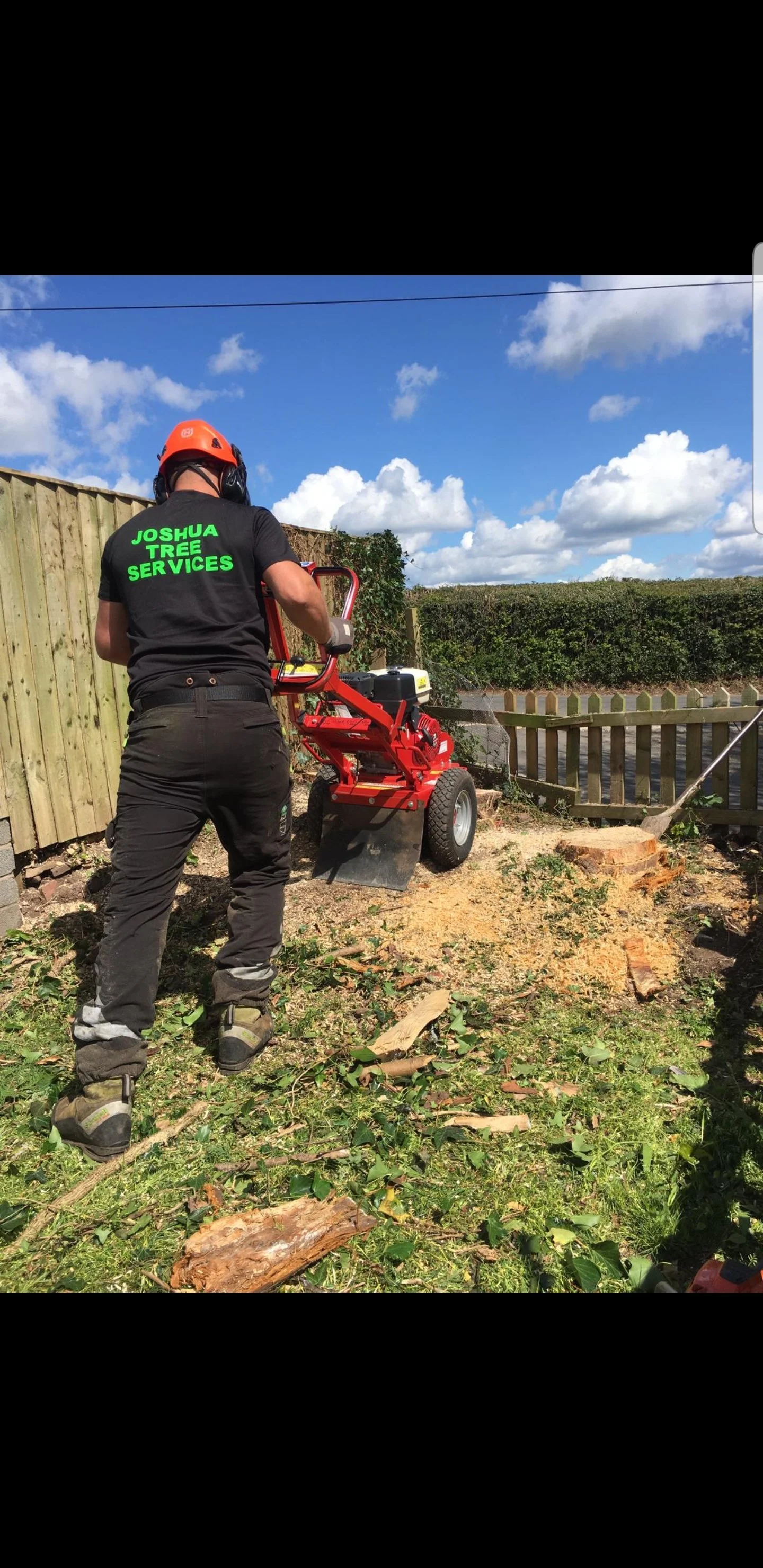 Stump Grinding