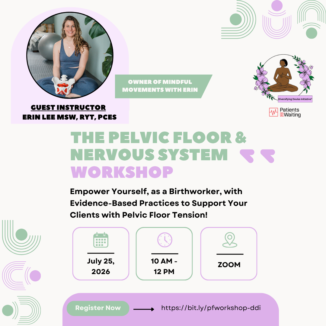 The Pelvic Floor & Nervous System Workshop