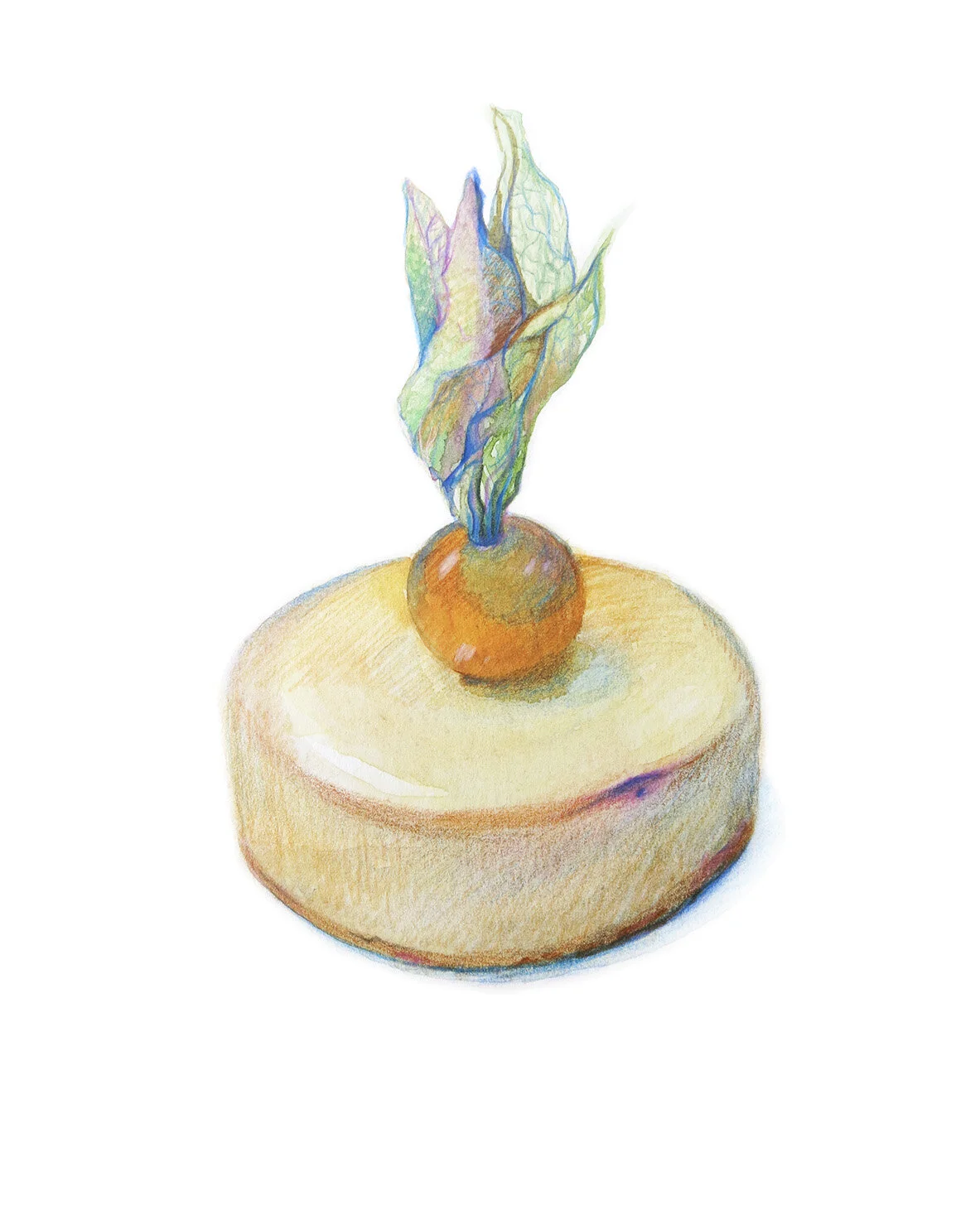Cheesecake 2015 Watercolour on Paper 19.2x24 cm