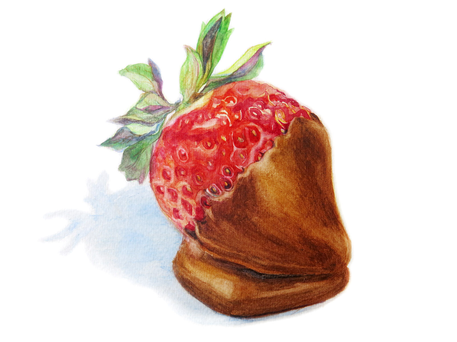 Chocolate Covered Strawberry 2014 Watercolour on Paper 24x19.2 cm