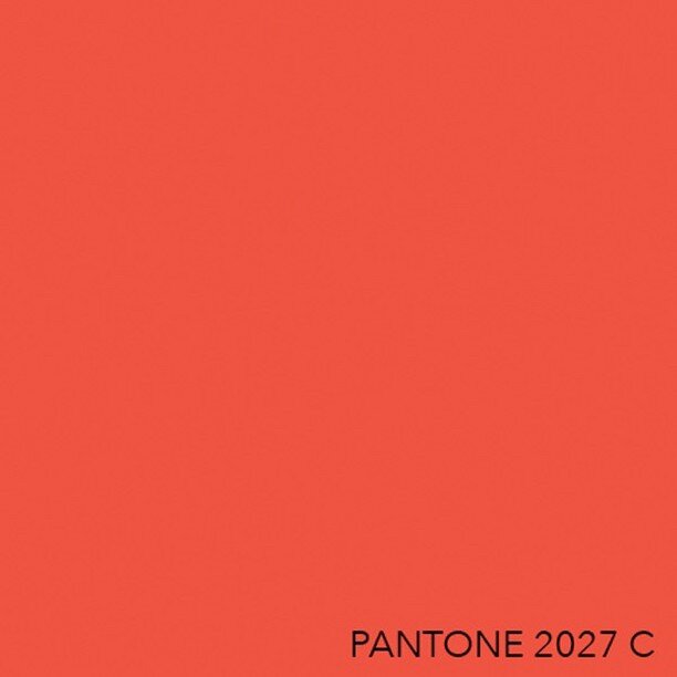 Pantone 2027 C ⠀⠀⠀⠀⠀⠀⠀⠀⠀
#allcolorsarebeautiful