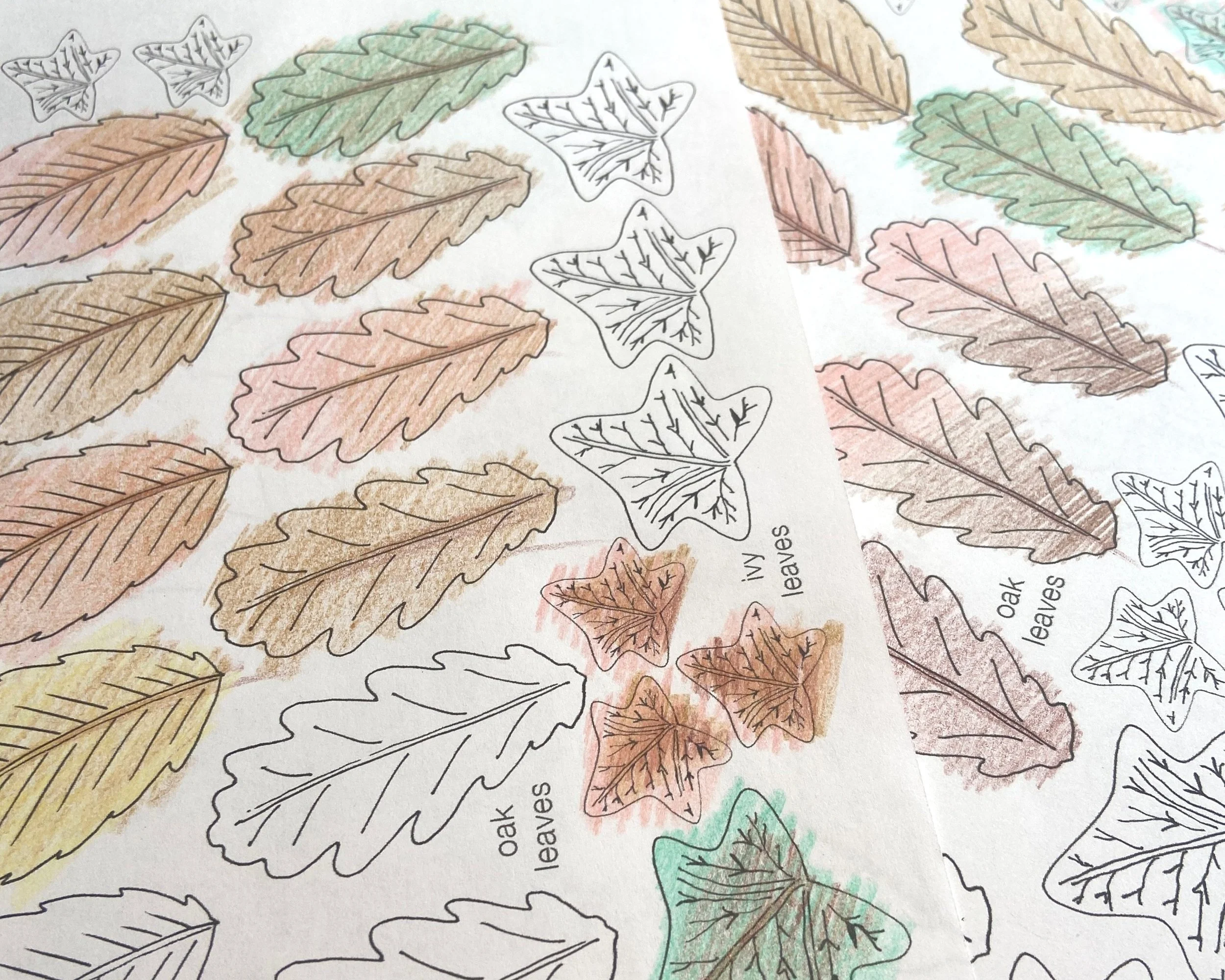 Awesome Autumn Activity Pack designed by Helen Leslie Illustrator full of crafts and colouring activities for children
