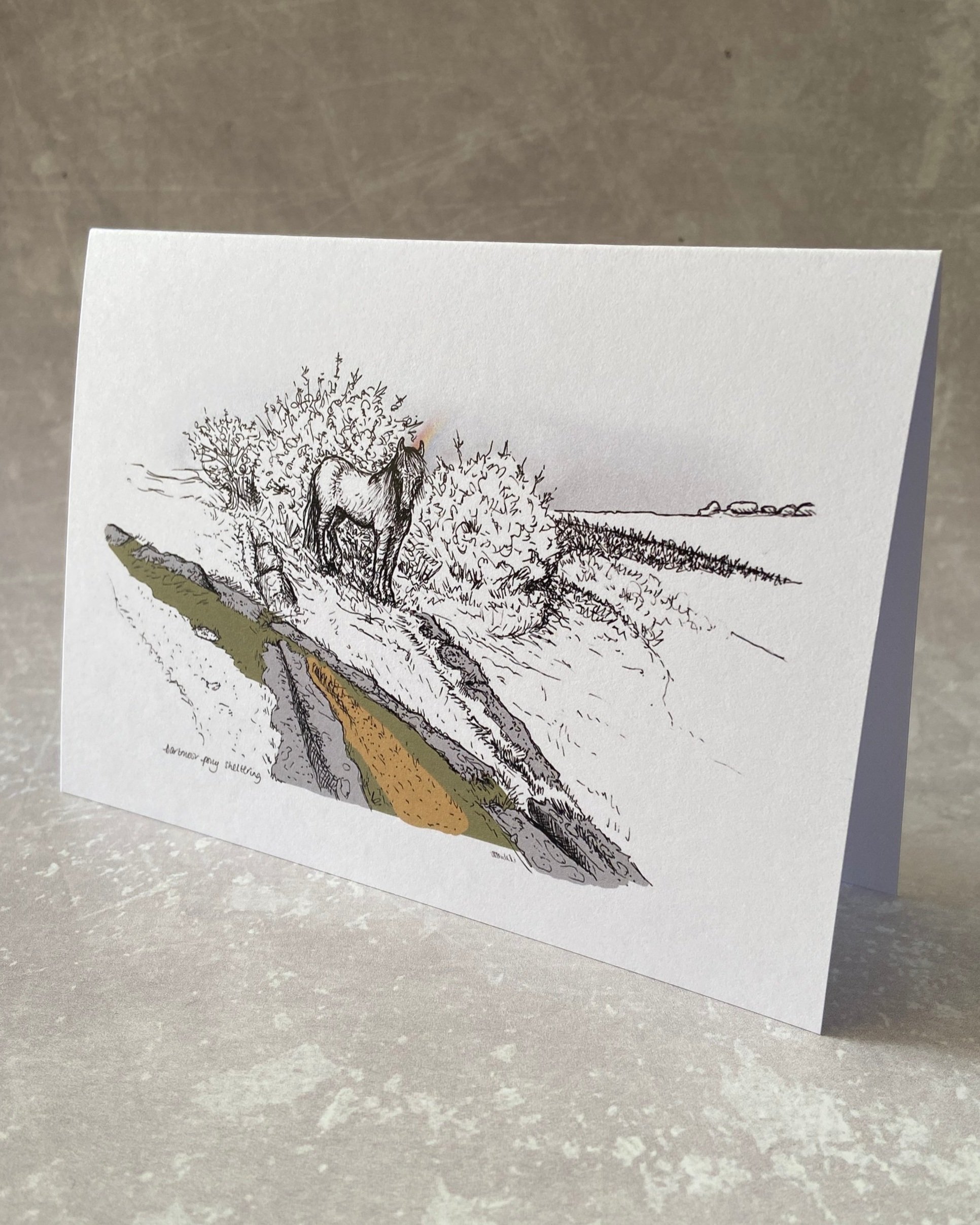 Pony sheltering on Granite Tramway at Haytor, Dartmoor illustrated greetings card