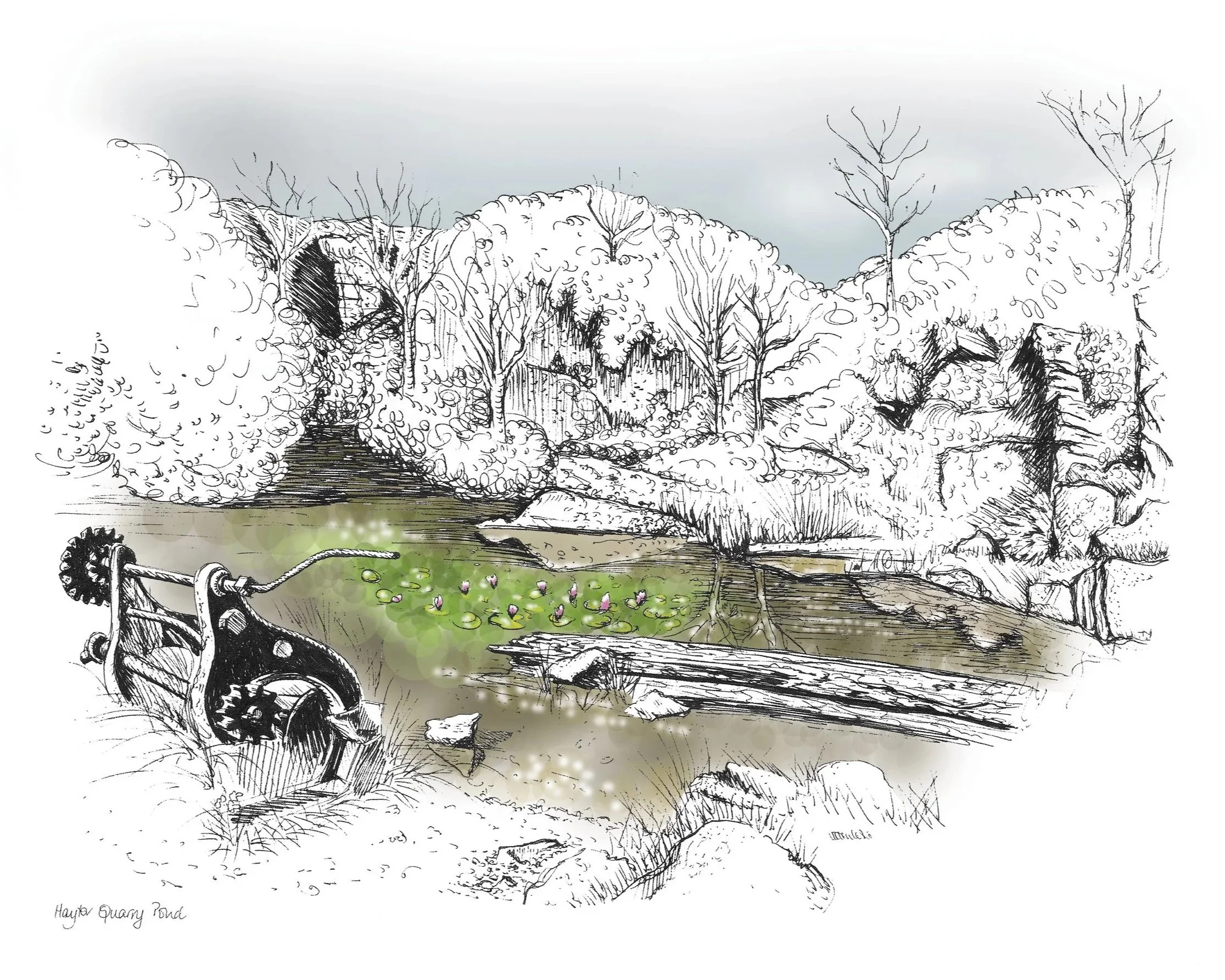 Haytor Quarry Pond, Dartmoor illustrated greetings cards by Devon artist Helen Leslie Illustrator