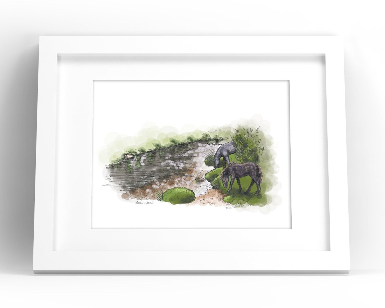 Dartmoor ponies grazing in Bellever Forest on Dartmoor by Devon artist Helen Leslie Illustrator