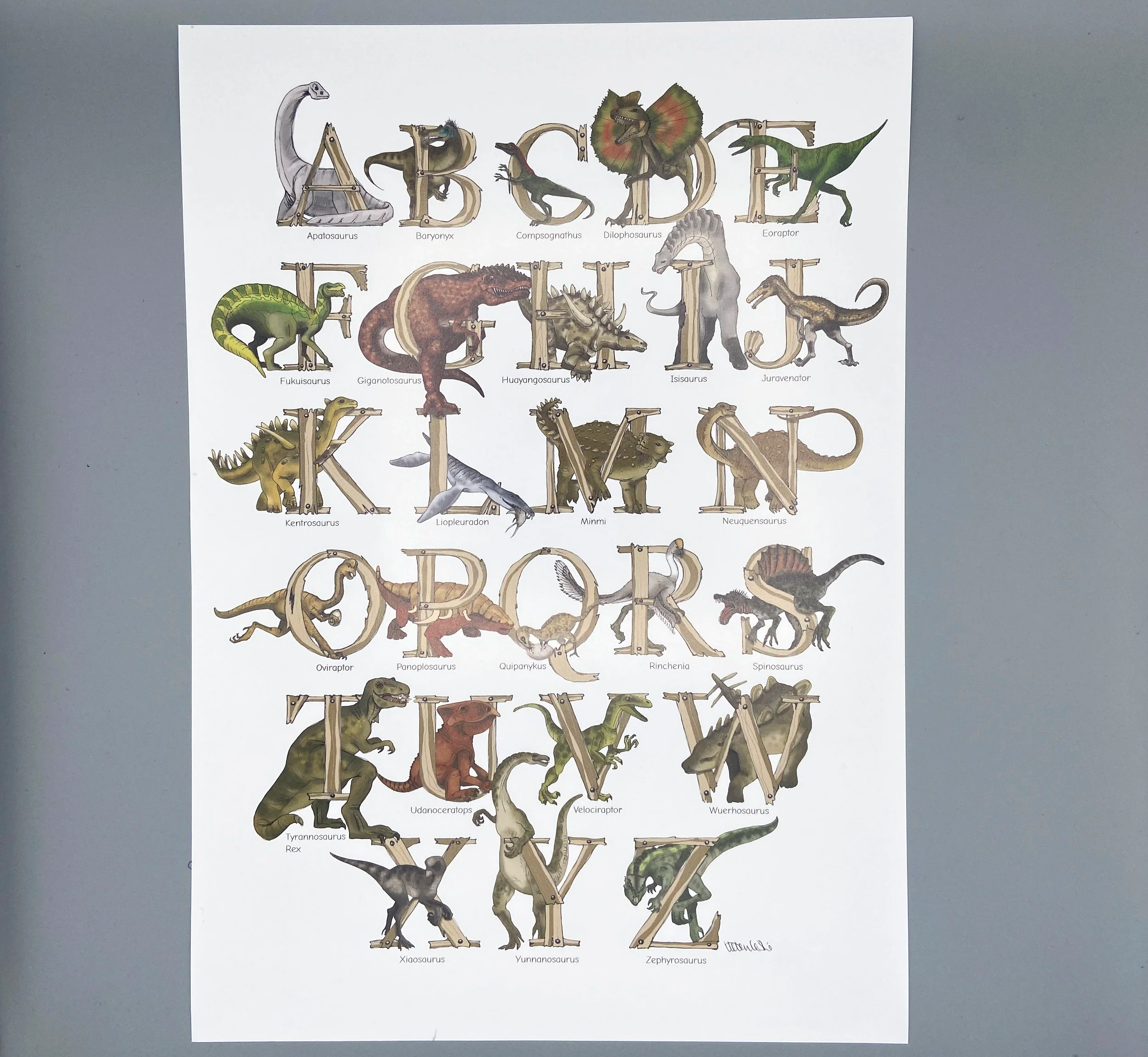 Illustrated Dinosaurs Alphabet poster print for children's bedrooms wall decor by Devon artist Helen Leslie Illustrator