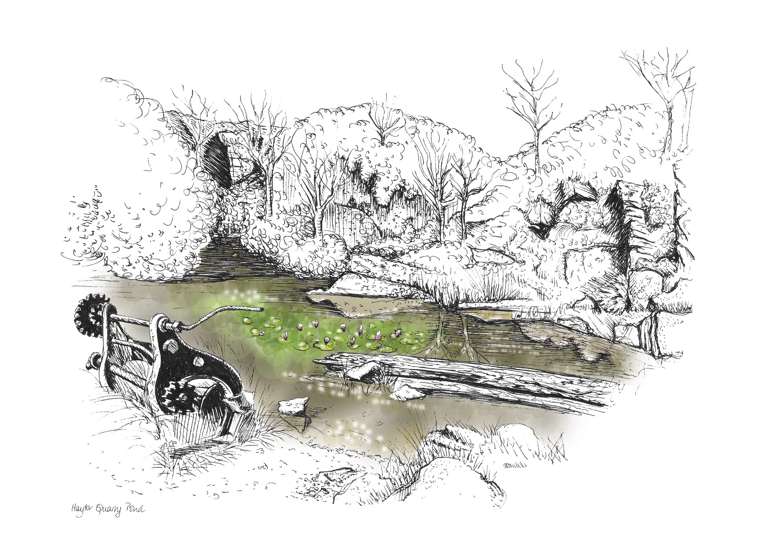 Haytor Quarry Pond A4.jpg