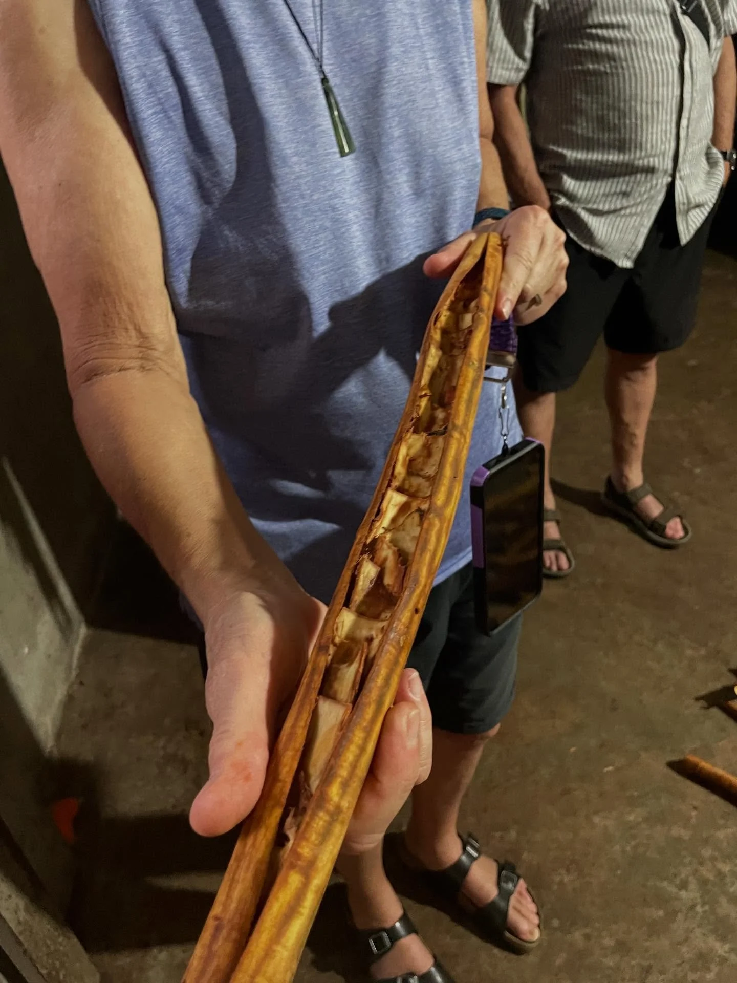 Learning how cinnamon is harvested and processed into sticks and oil. We even got to try fresh cinnamon leaves.