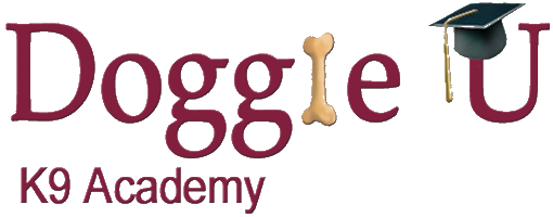 Doggie U CPE Canine Scent Sport Trials