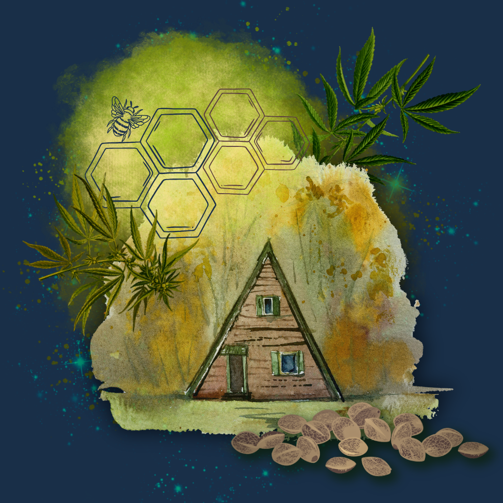 Watercolor graphics website (working copy) (2).png