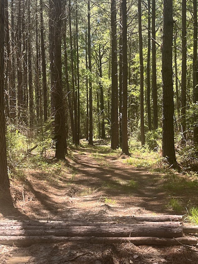 Weekend Wellness Experience
