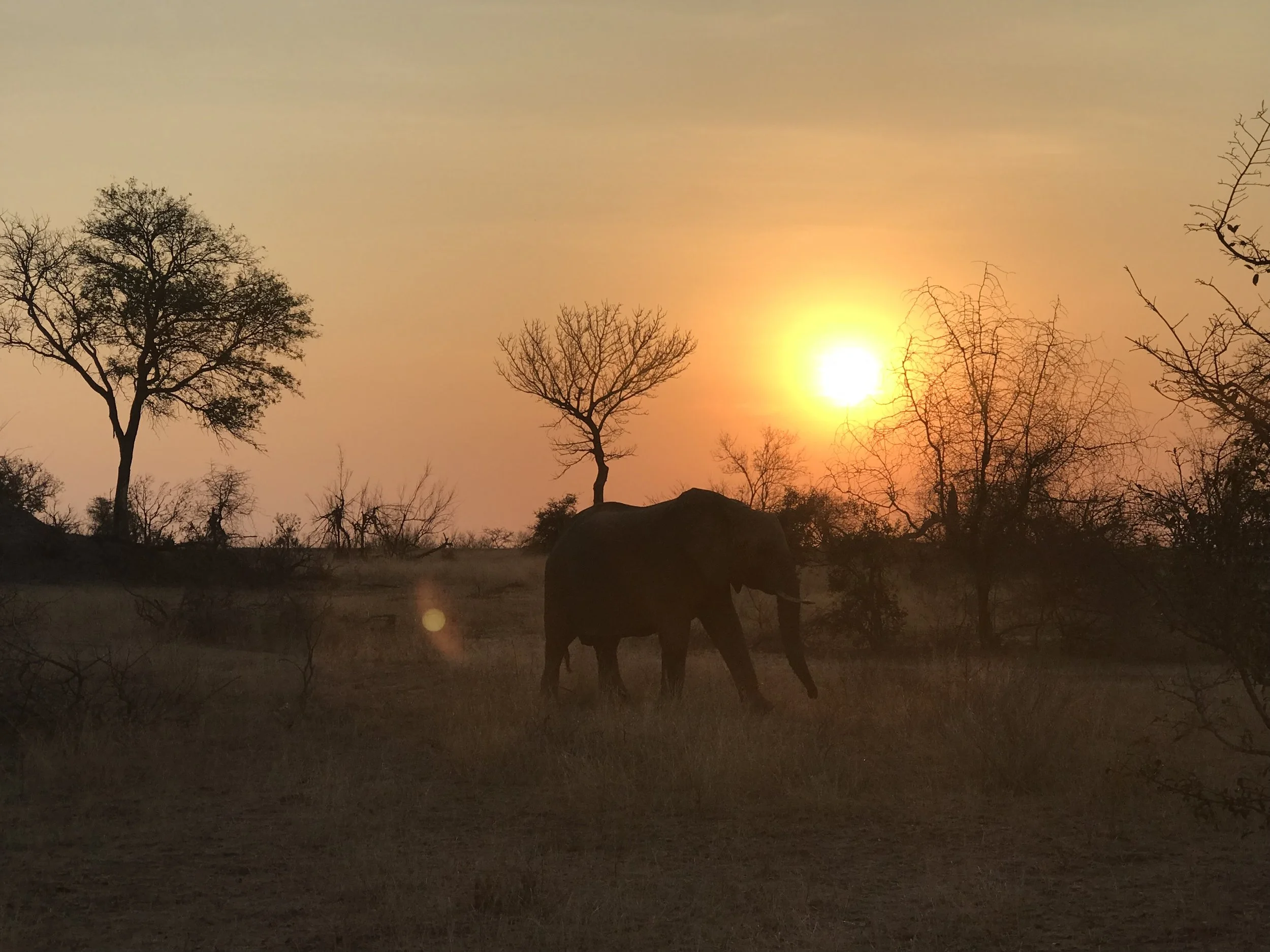 Are You Ready to Listen?