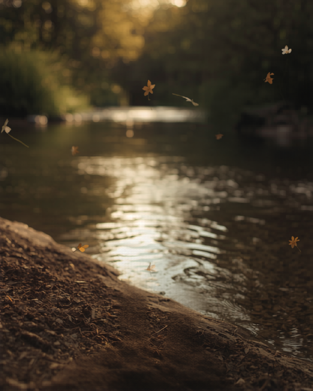 Overlooking from the earth a river with sunlight on water and leaves gently falling. green trees background
