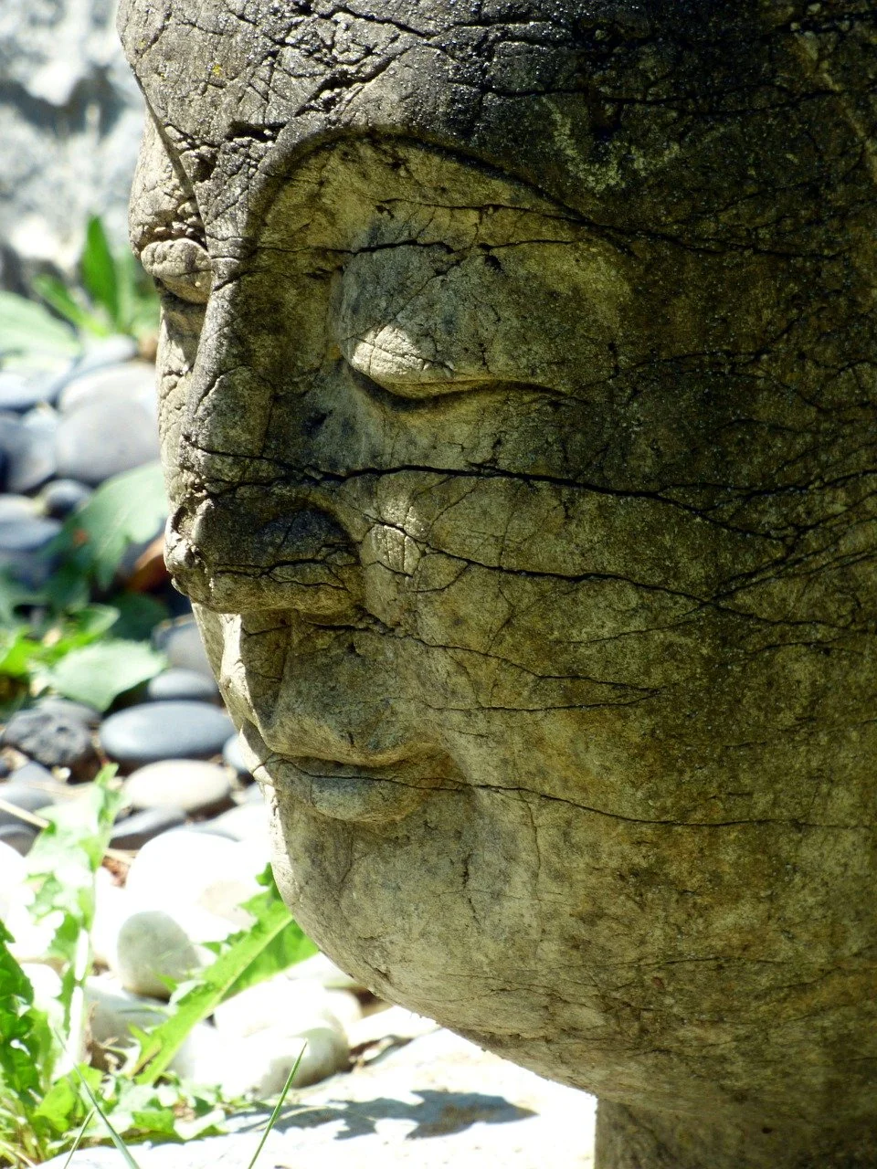 A buddah face carved from stone with nature background