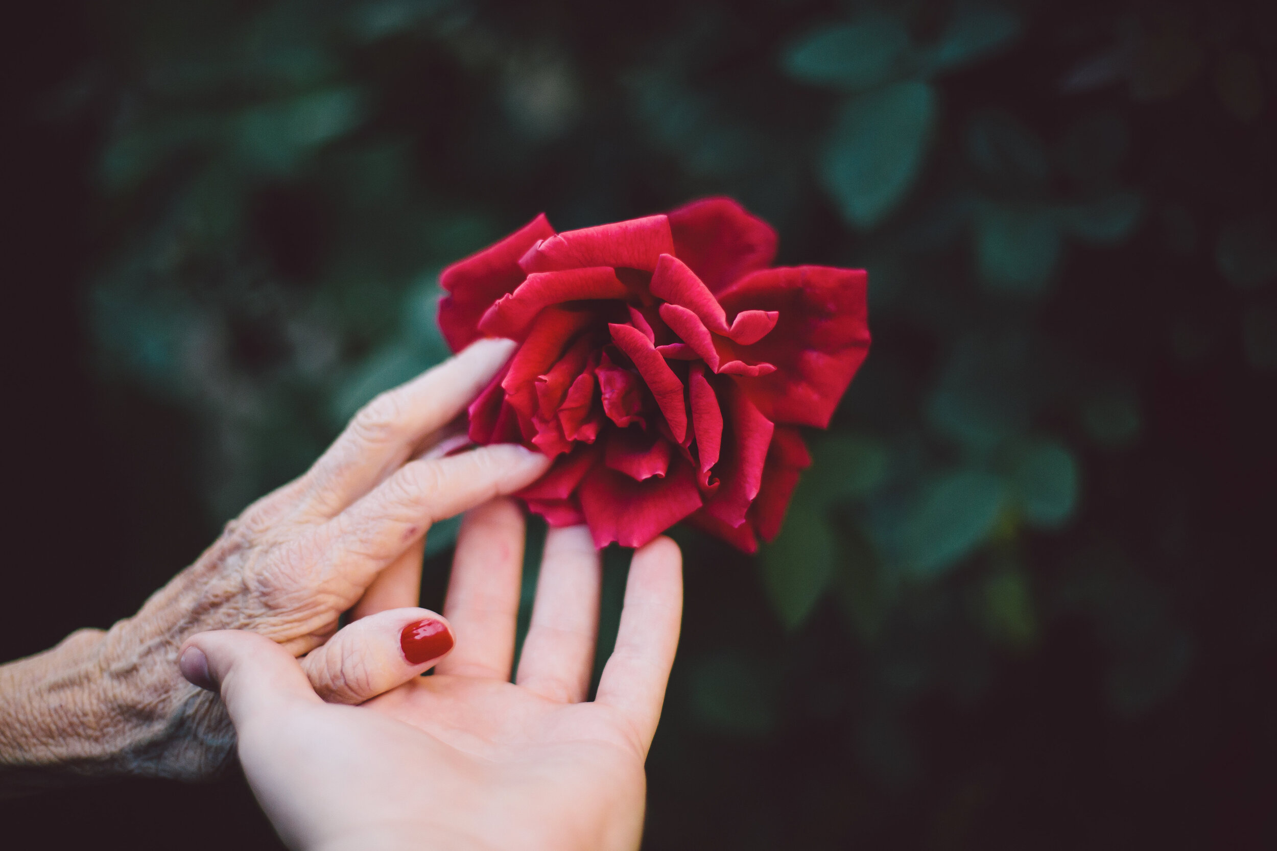 my mother’s hands