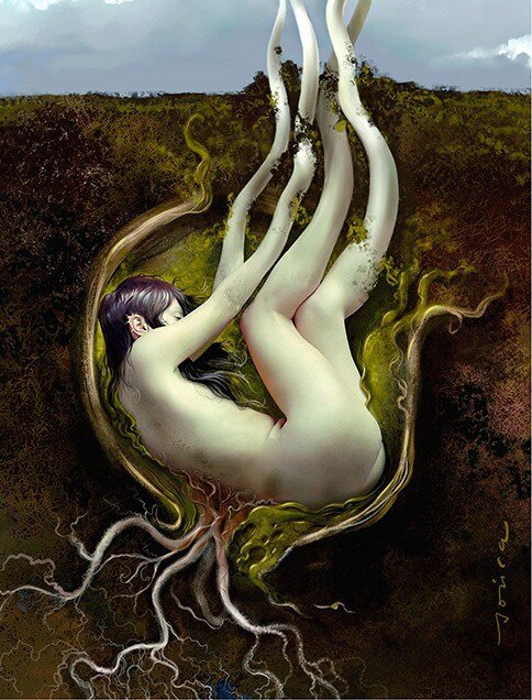 chaos and becoming sound