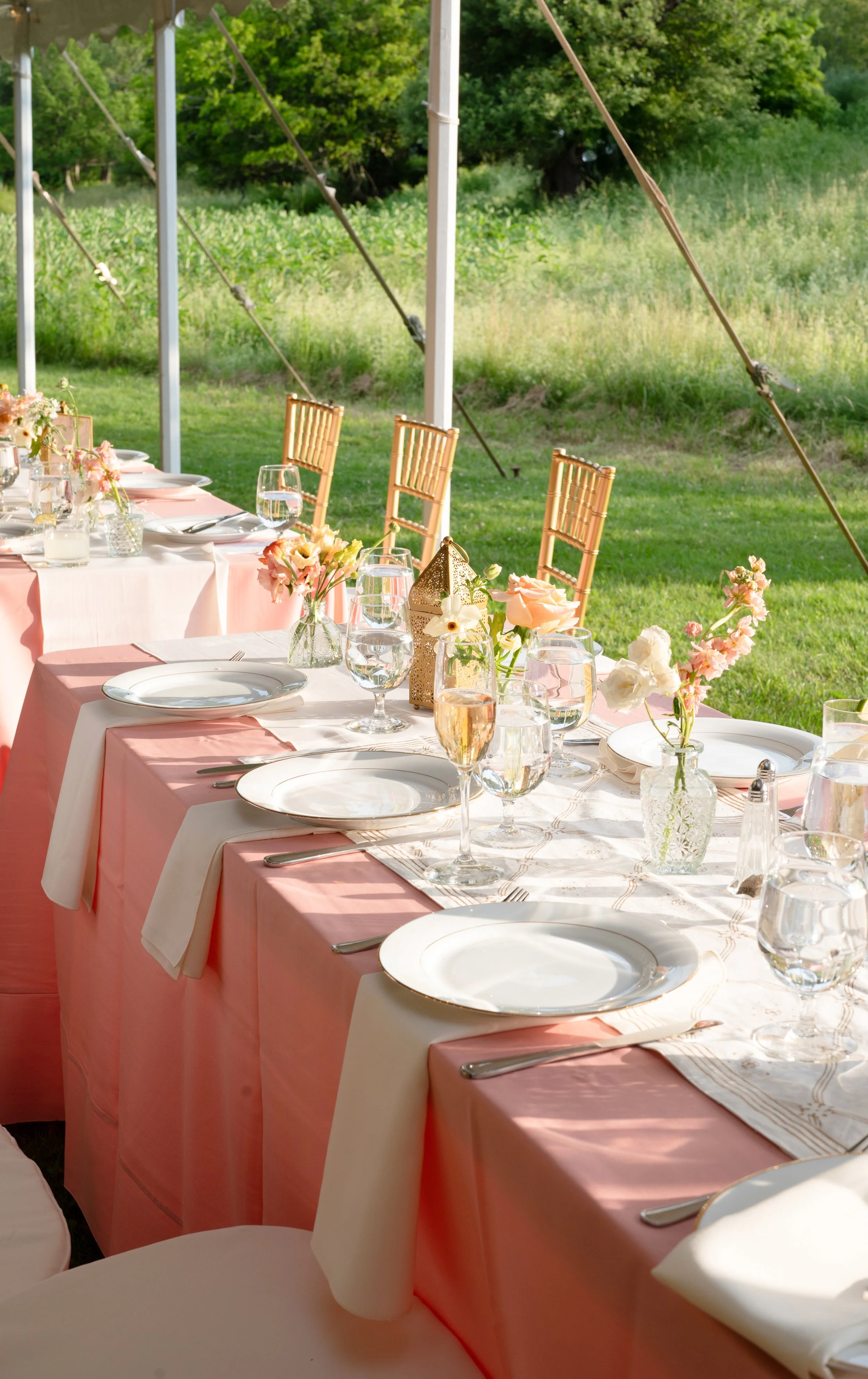 Margot &amp; Mohammed