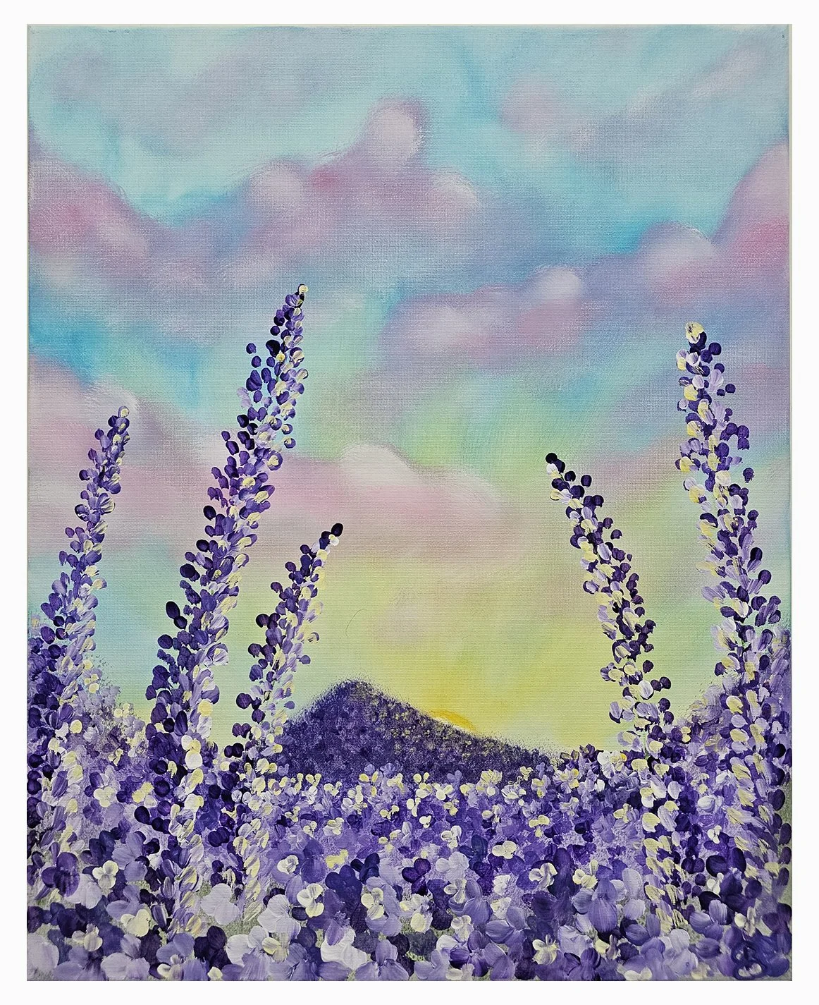 Lavender Fields