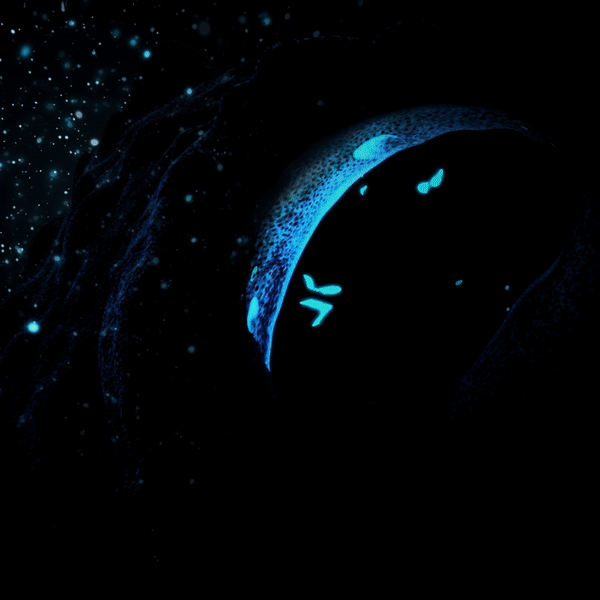 Engine House Realtime Animation Collective