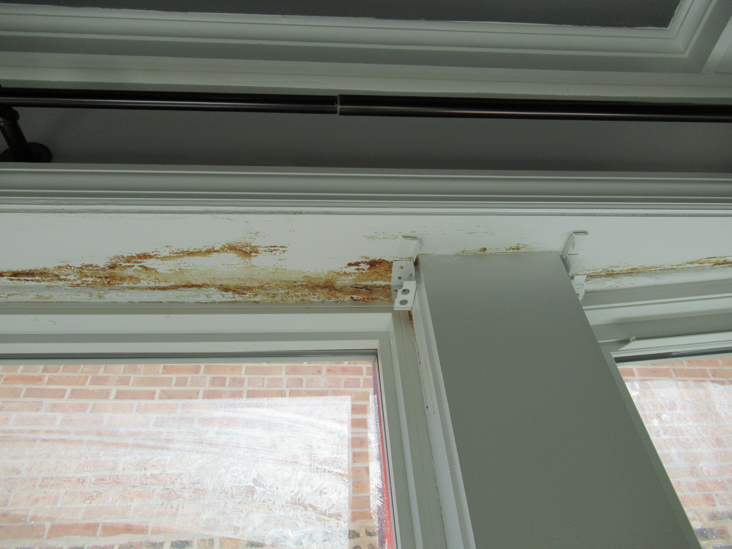 Water Stain Window Head.JPG