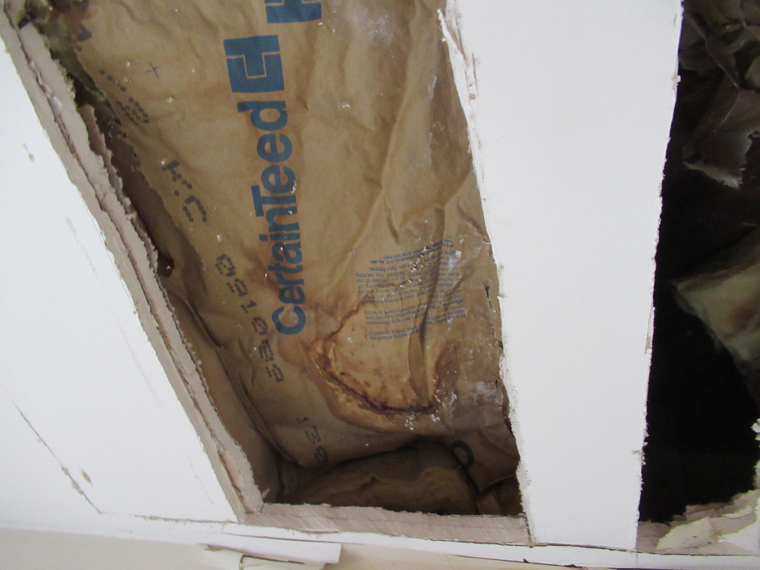 View of Wet Ceiling Insulation