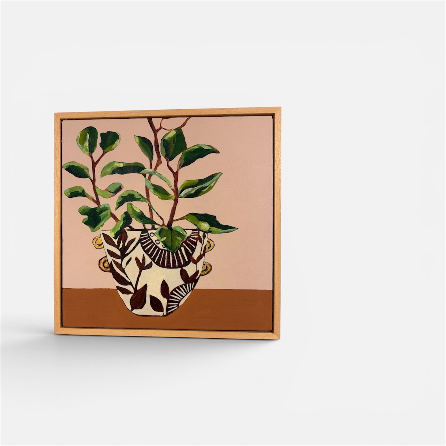 Jade Plant in Pottery with gold leaf