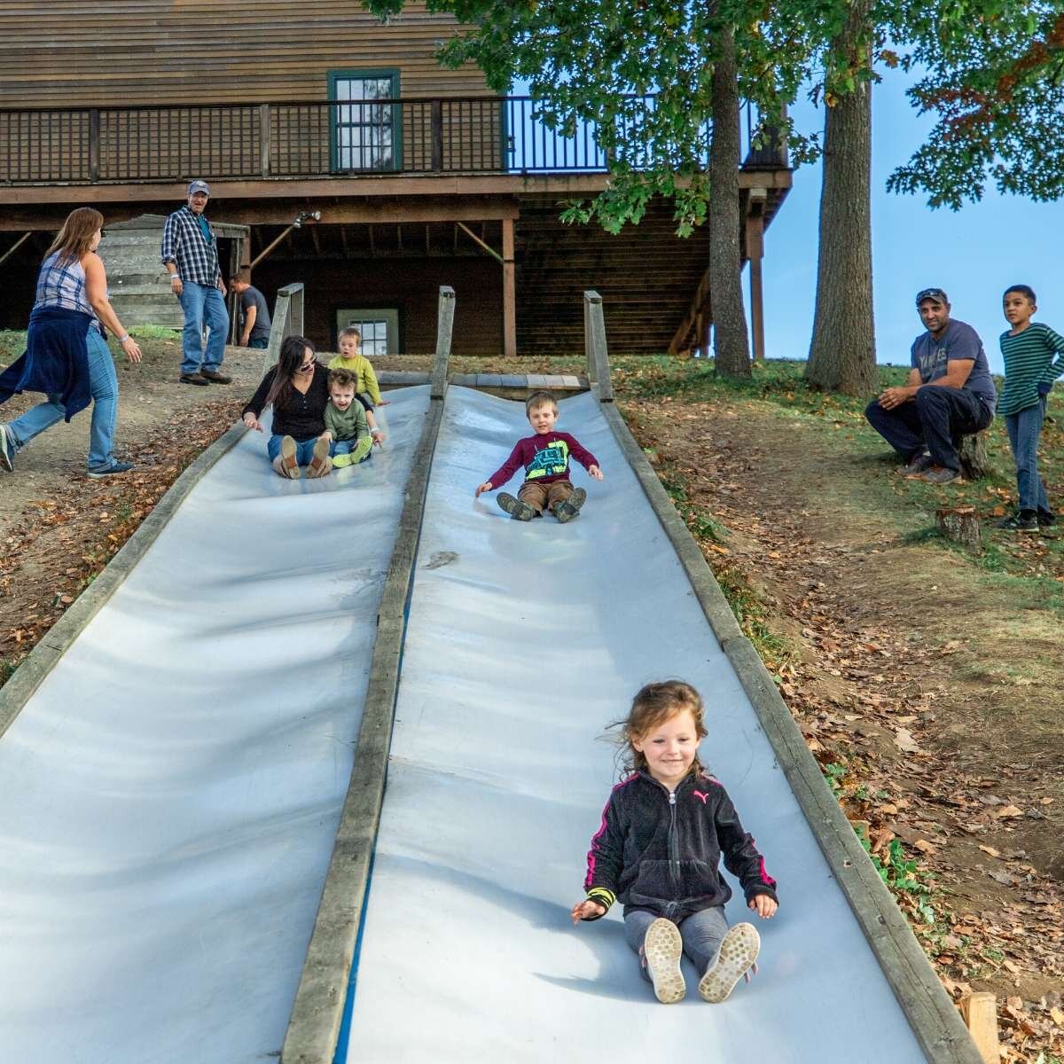Families sliding down slides.jpg
