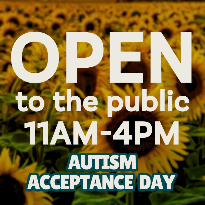 Autism Acceptance Day
