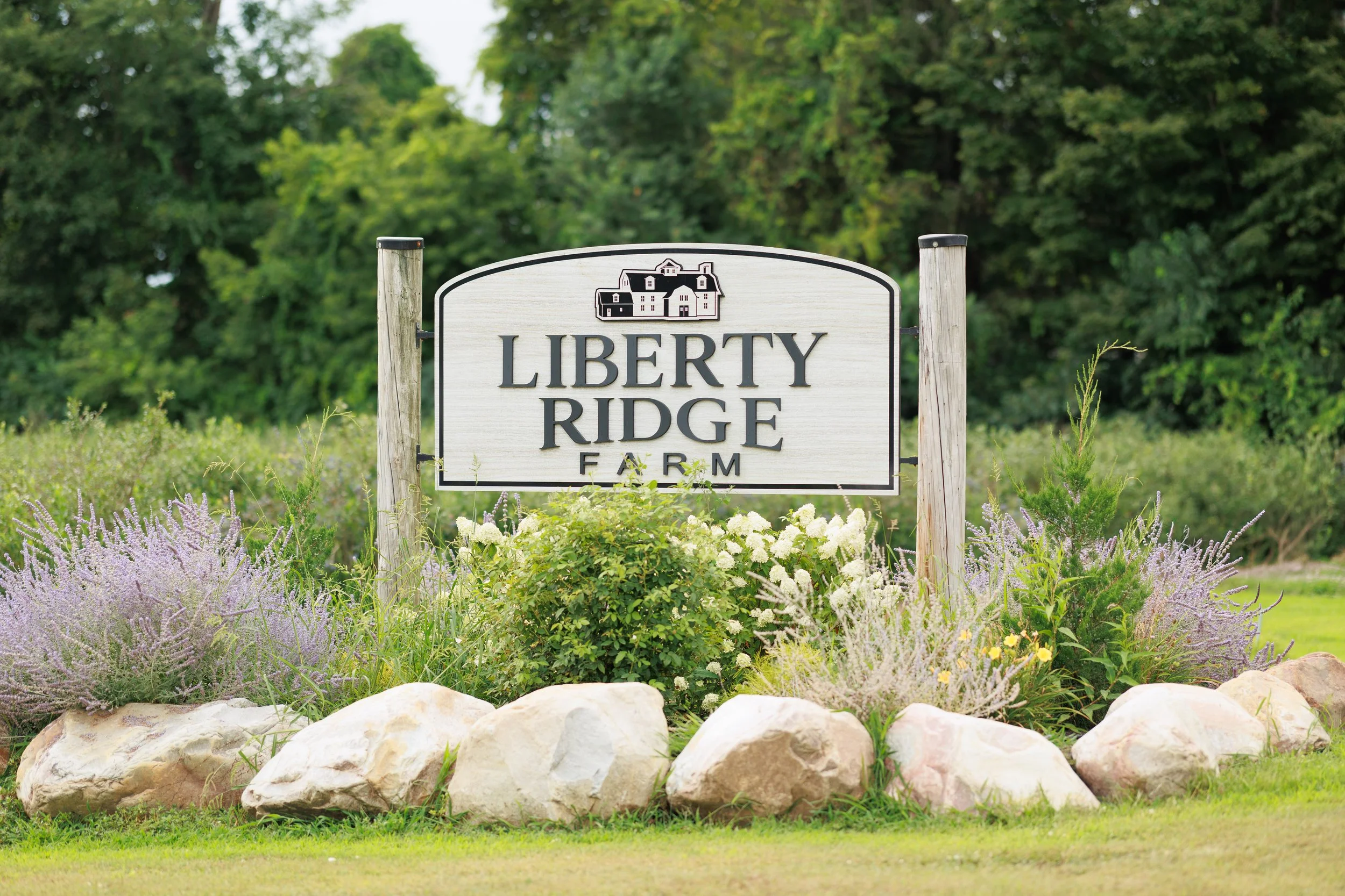 LibertyRidge-SunflowerFestival_491A9809_StaciOswaldCreative.jpg