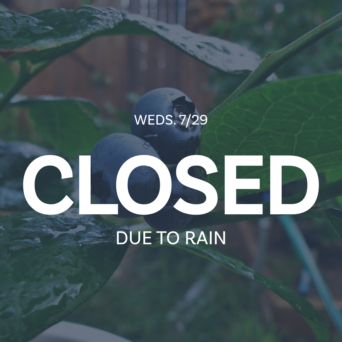 CLOSED due to weather: Summer Play Day