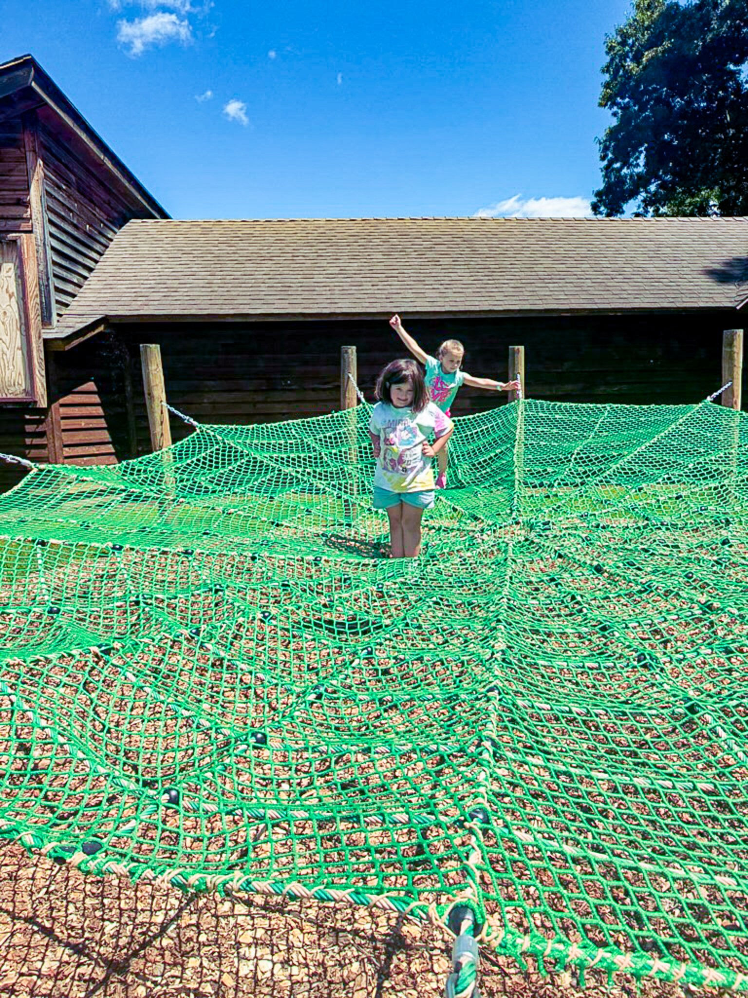 Giant Spiderweb