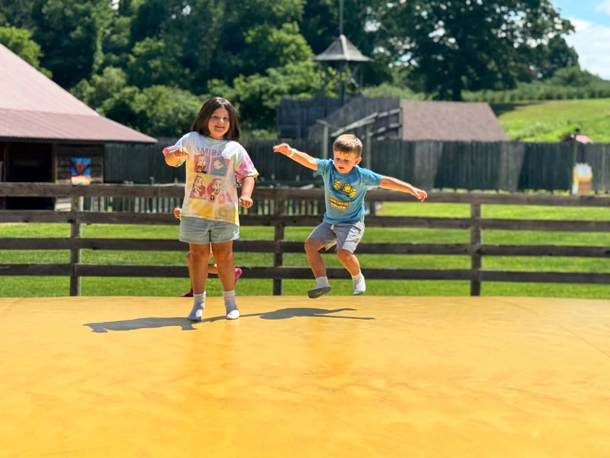 Utica Families: Liberty Ridge Farm's Fall Festival Is Worth the Drive This October