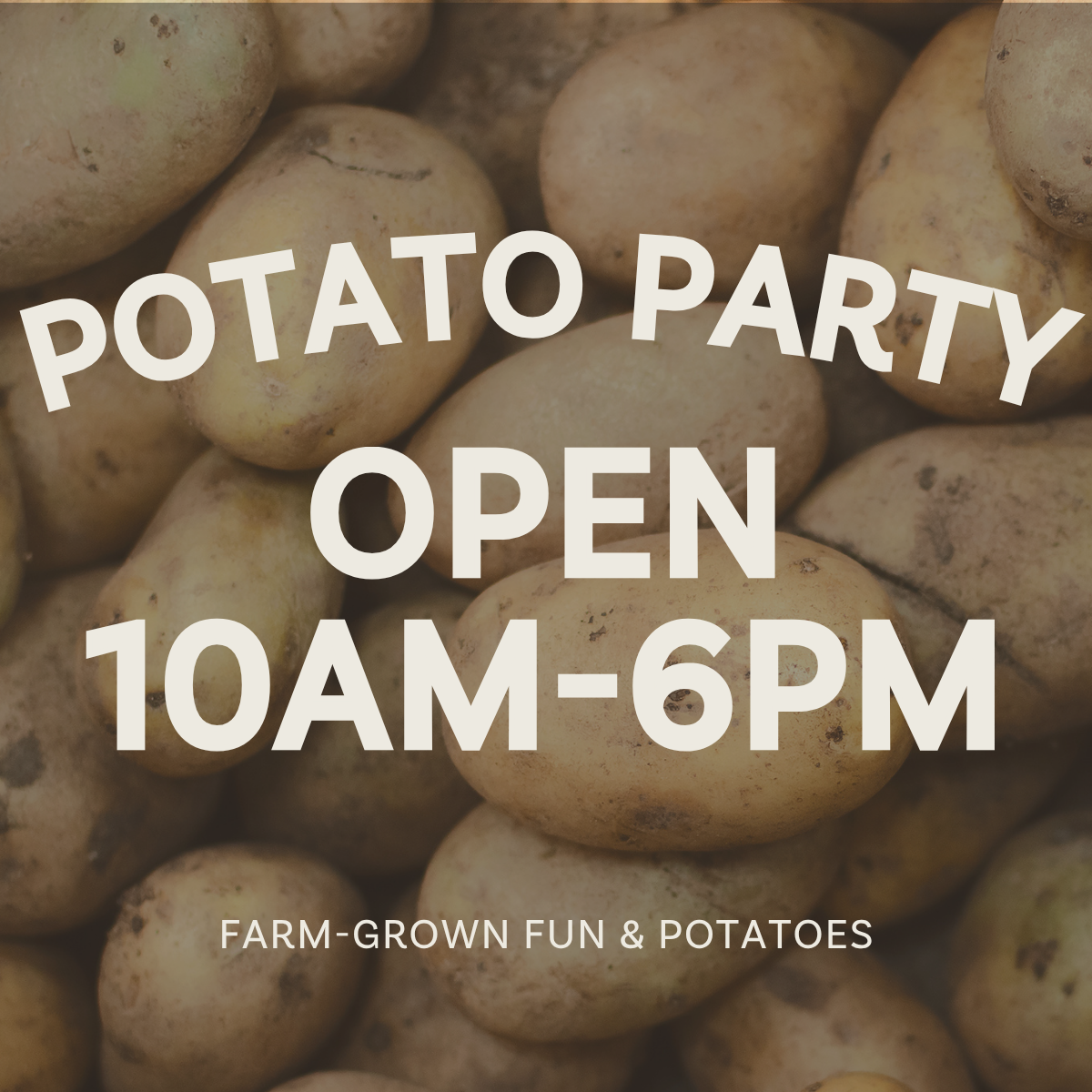 Fall Festival &amp; Potato Party