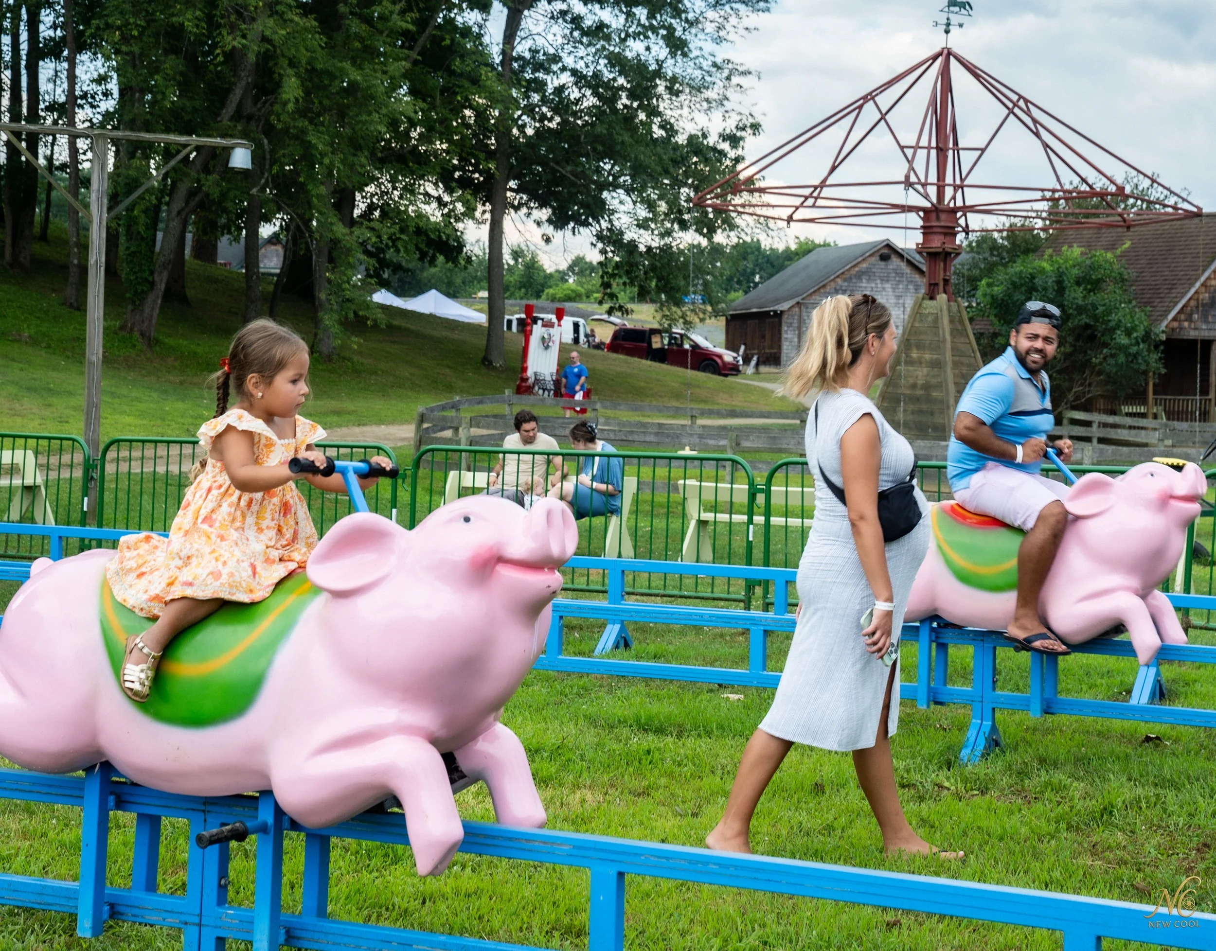 Blueberry Festival Schaghticoke.jpg