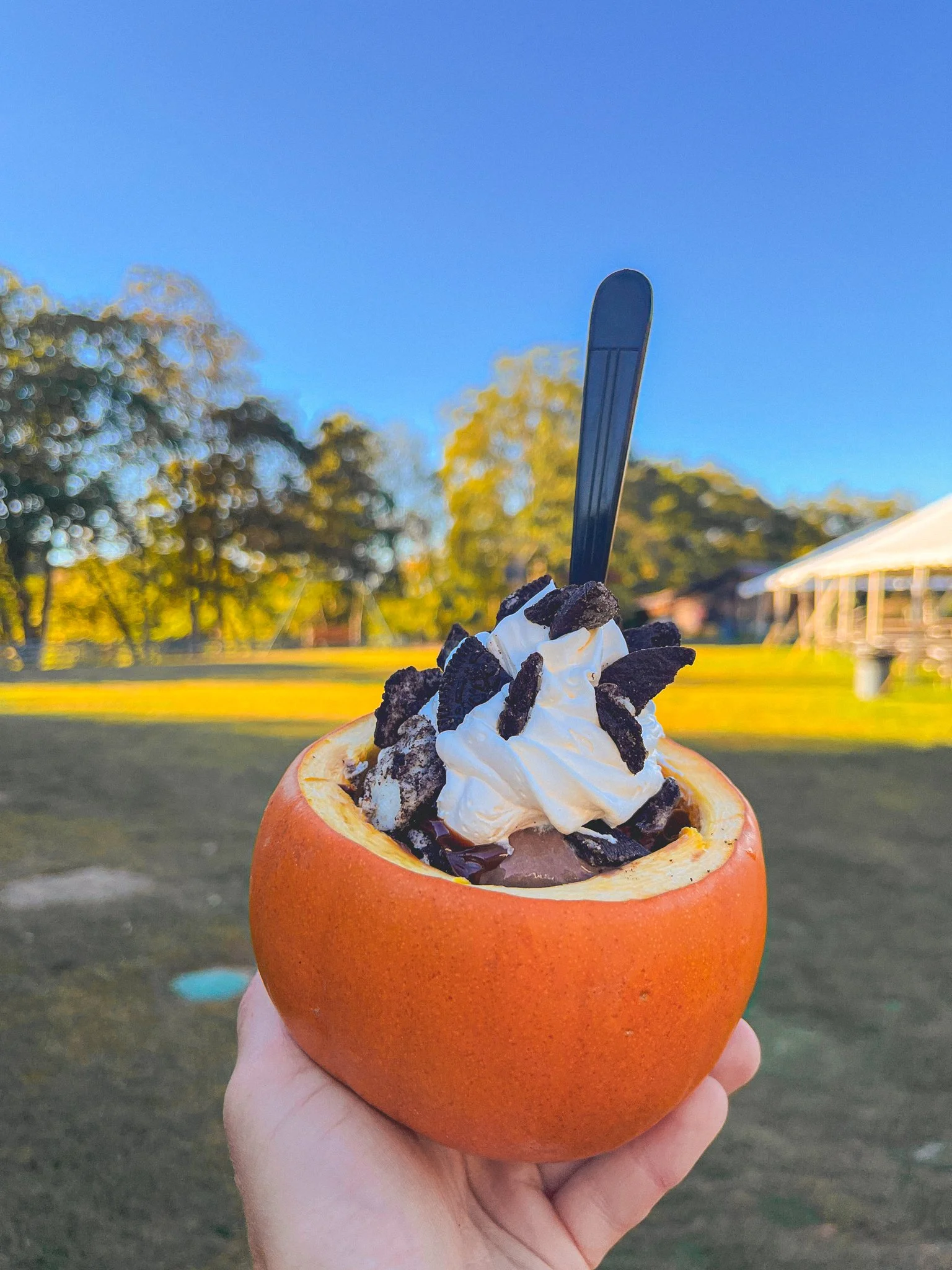 Fall Festival Liberty Ridge Farm-1.jpg