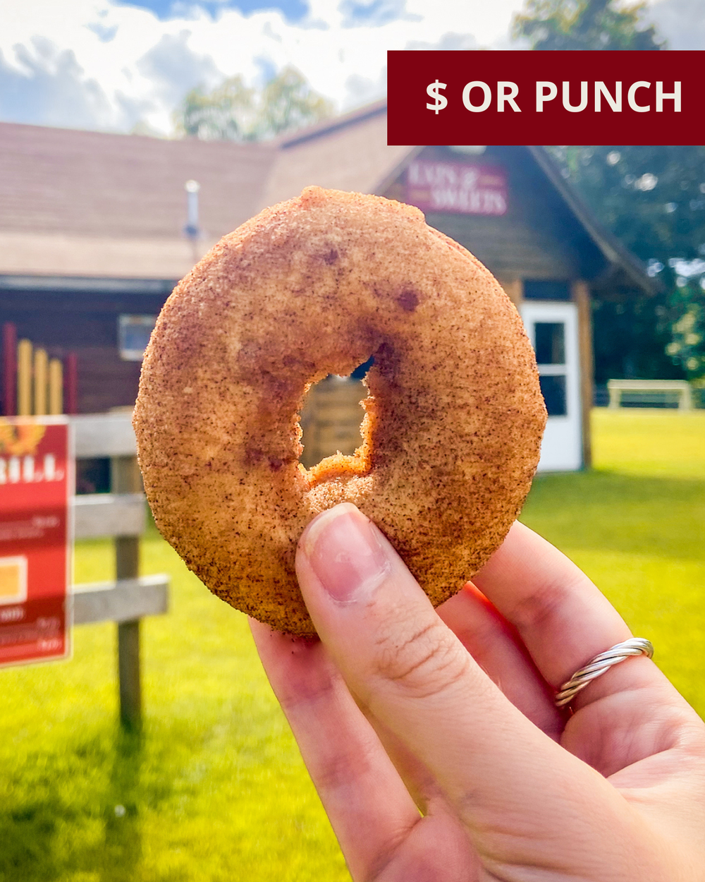 Apple Cider Donut — Liberty Ridge Farm Family Things to Do Albany