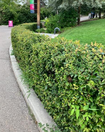 Screenshot 2025-12-30 113934.png