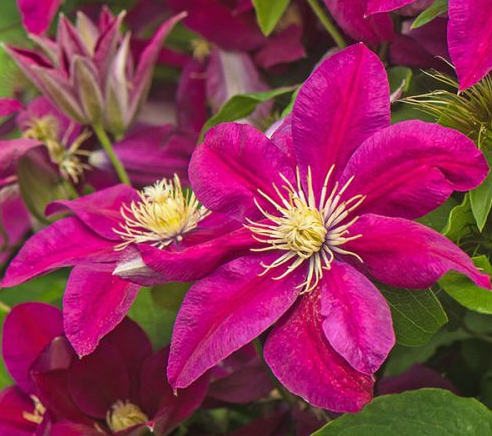 Screenshot 2025-12-23 124526.png