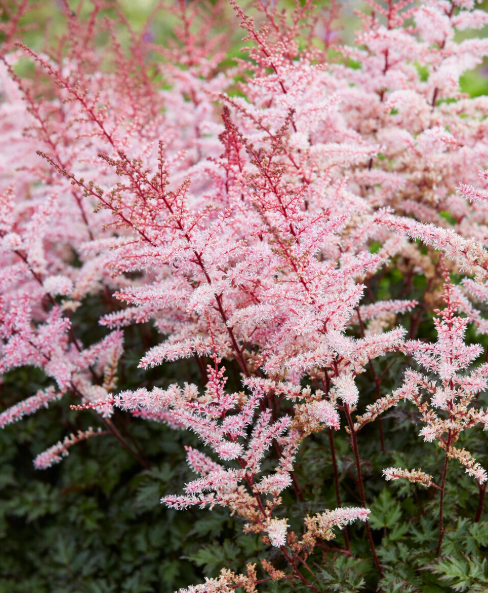 Screenshot 2025-12-23 122735.png