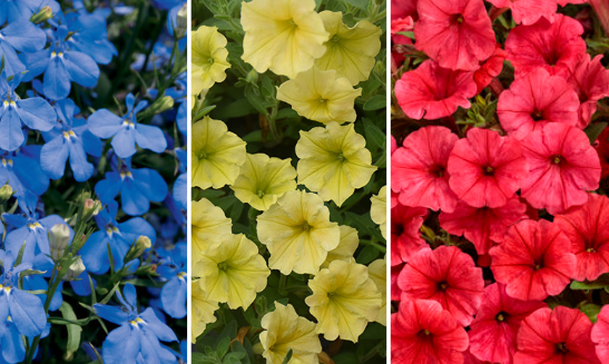 Screenshot 2025-12-05 110627.png